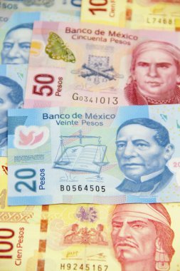 Meksika para faturaları geçmişi