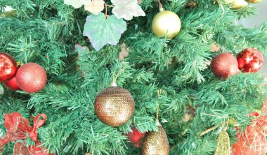 Noel ağacı - yakın plan görünümü