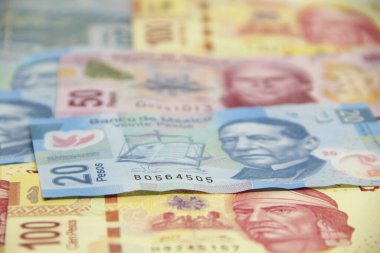 Meksika para faturaları geçmişi