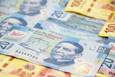 Meksika para faturaları geçmişi