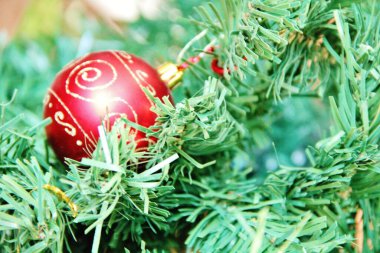 Noel ağacı - yakın plan görünümü