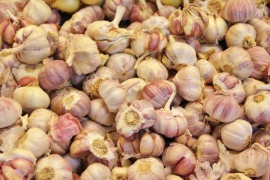 Sarımsak kutusunun yakın görüntüsü, tek renkli arkaplan