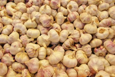 Sarımsak kutusunun yakın görüntüsü, tek renkli arkaplan