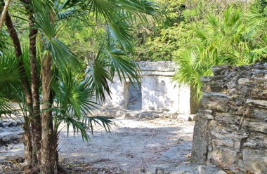 Meksika, manzarayı mahvediyor.