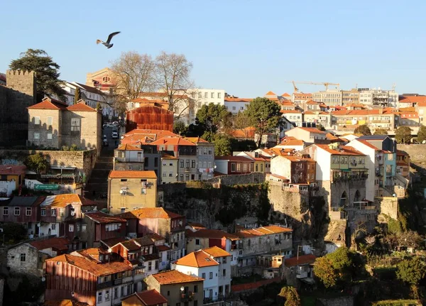 Vue Sur Ville Porto Portugaise — Photo