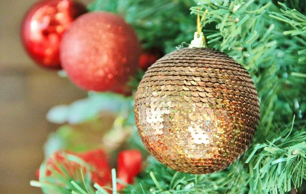 Noel ağacı - yakın plan görünümü