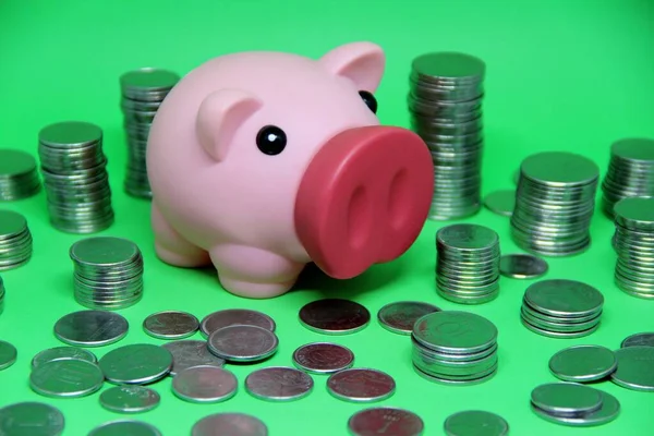 Pig Coins Saving Money Concept — Stock Photo, Image