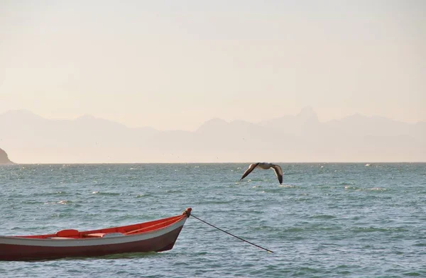 Bateau Sur Mer Vue Panoramique — Photo