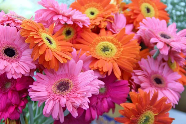 Piękny Widok Bukietów Kolorowych Kwiatów — Zdjęcie stockowe