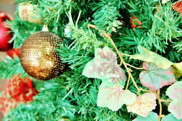 Noel ağacı - yakın plan görünümü