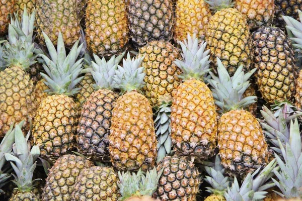 Closeup View Rows Pineapples Monochrome Background — Stock Photo, Image