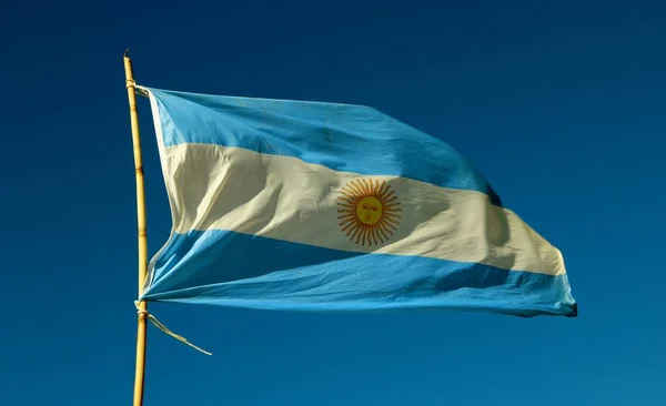 Argentyńska Flaga Wietrze Błękitnym Niebie — Zdjęcie stockowe