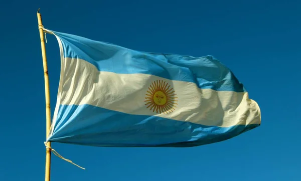 Argentinsk Flagga Vinden Den Blå Himlen — Stockfoto