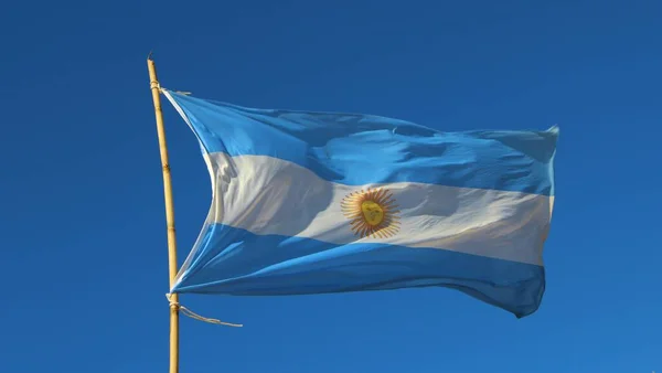 Drapeau Argentin Dans Vent Sur Ciel Bleu — Photo