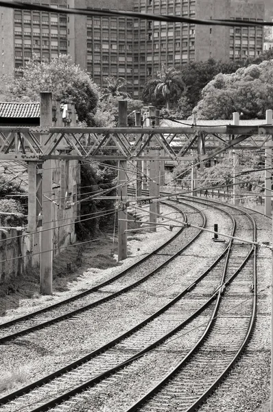 Voies Ferrées Gare — Photo