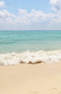 Karayip denizinin güzel manzarası