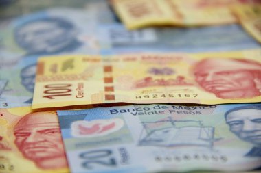 Meksika para faturaları geçmişi