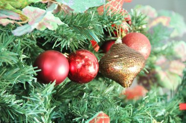 Noel ağacı - yakın plan görünümü