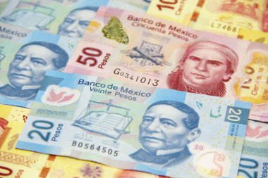 Meksika para faturaları geçmişi