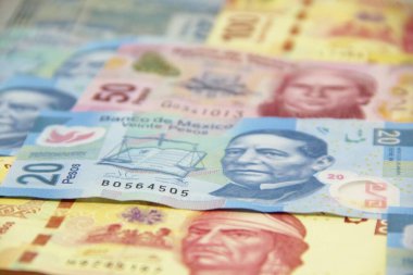 Meksika para faturaları geçmişi