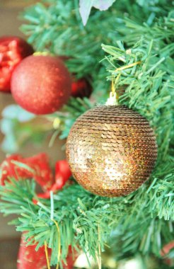 Noel ağacı - yakın plan görünümü