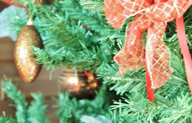 Noel ağacı - yakın plan görünümü