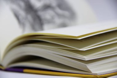 Açılmış kitabın masadaki yakın görüntüsü