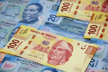 Meksika para faturaları geçmişi