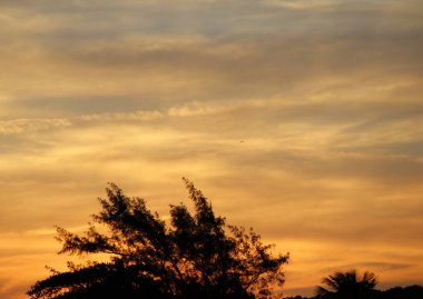 Günbatımında uçan kuş gökyüzü arka planı