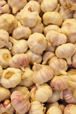 Sarımsak kutusunun yakın görüntüsü, tek renkli arkaplan