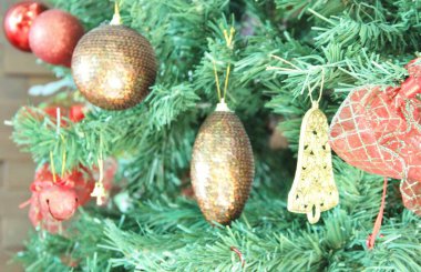 Noel ağacı - yakın plan görünümü