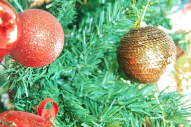 Noel ağacı - yakın plan görünümü