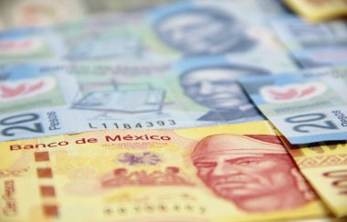 Meksika para faturaları geçmişi