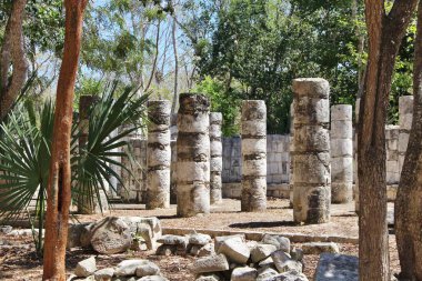 Meksika, Dünya Mirası Sitesi