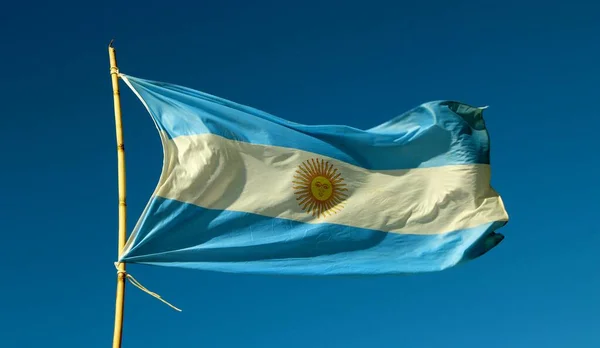 Флаг Аргентины Ветру Голубом Небе — стоковое фото