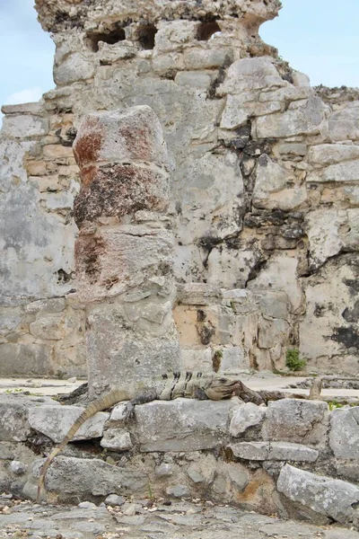 Meksika, Riviera Maya. Seyahat kavramı