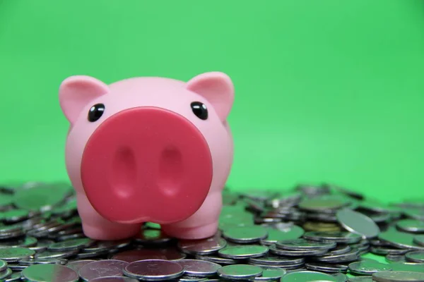 Pig Coins Saving Money Concept — Stock Photo, Image