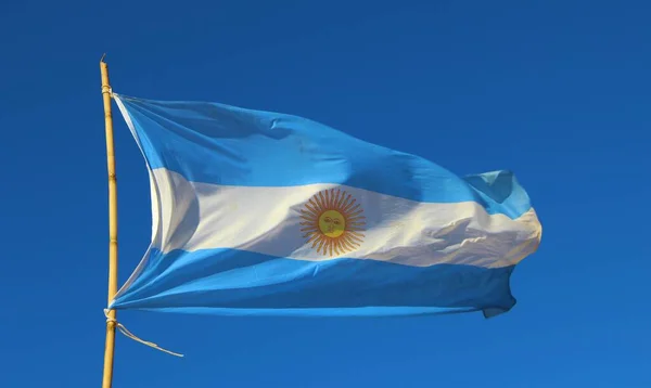 Argentinsk Flagga Vinden Den Blå Himlen — Stockfoto
