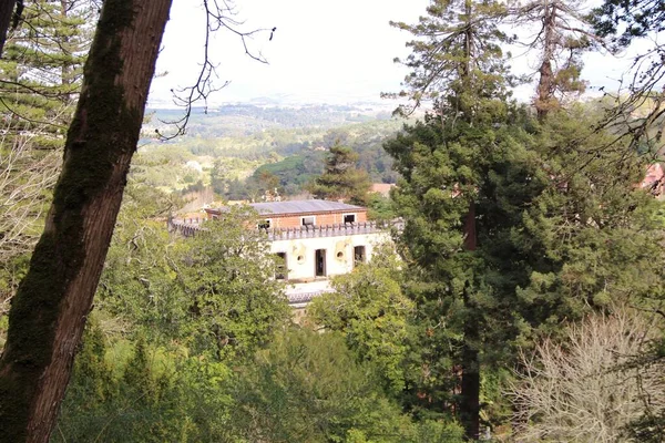 Mimari manzara, binaların cepheleri, ve saray kompleksinin bahçesi Quinta da Regaleira, Sintra, Portekiz