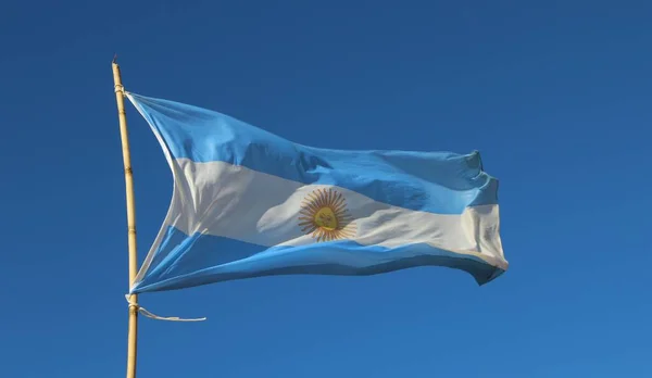 Argentinsk Flagga Vinden Den Blå Himlen — Stockfoto