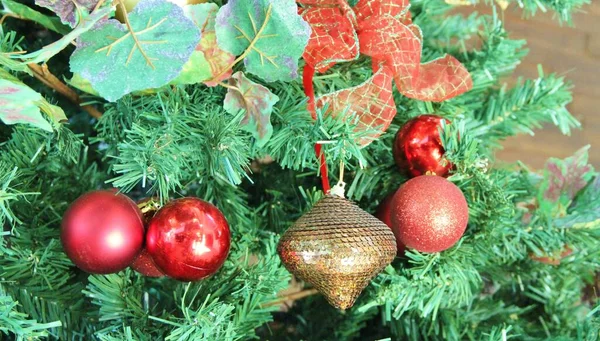 Vánoční Stromek Detailní Pohled — Stock fotografie