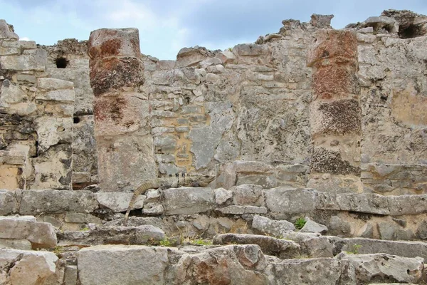 Meksika, Riviera Maya. Seyahat kavramı