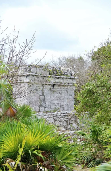 Meksika, Riviera Maya. Seyahat kavramı