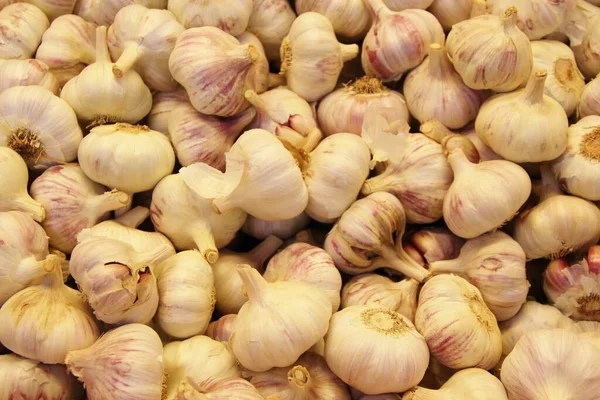 Sarımsak kutusunun yakın görüntüsü, tek renkli arkaplan