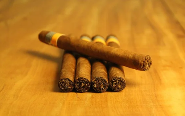 Closeup View Several Cigars Wooden Background — Stock Photo, Image