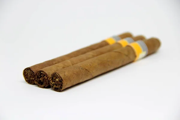 Nahaufnahme Von Mehreren Zigarren Auf Weißem Hintergrund — Stockfoto