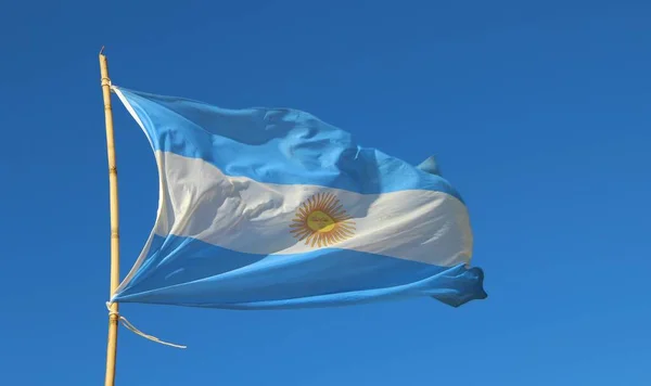 Bandeira Argentina Vento Céu Azul — Fotografia de Stock