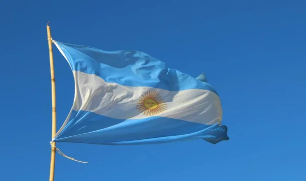 Bandera Argentina Viento Cielo Azul —  Fotos de Stock