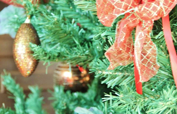 Noel ağacı - yakın plan görünümü