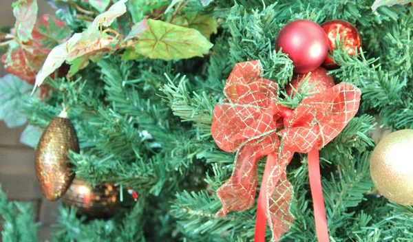 Noel ağacı - yakın plan görünümü